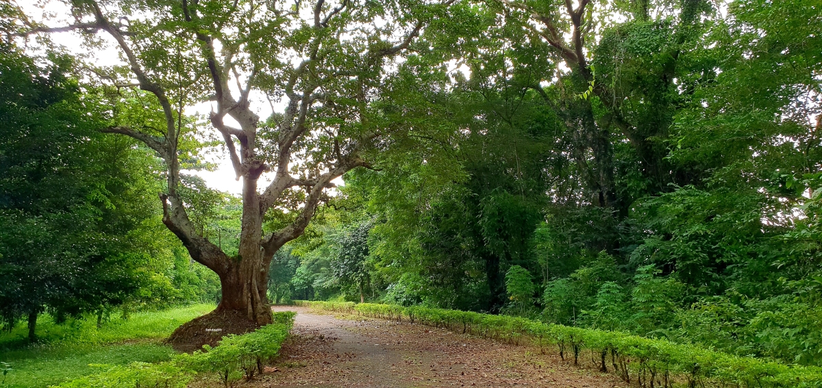 path-walks